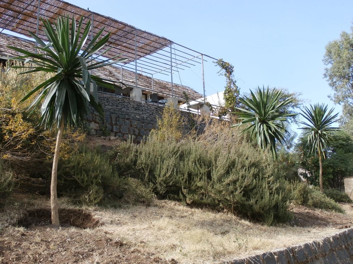 Mayleko Lodge Gonder Exterior photo