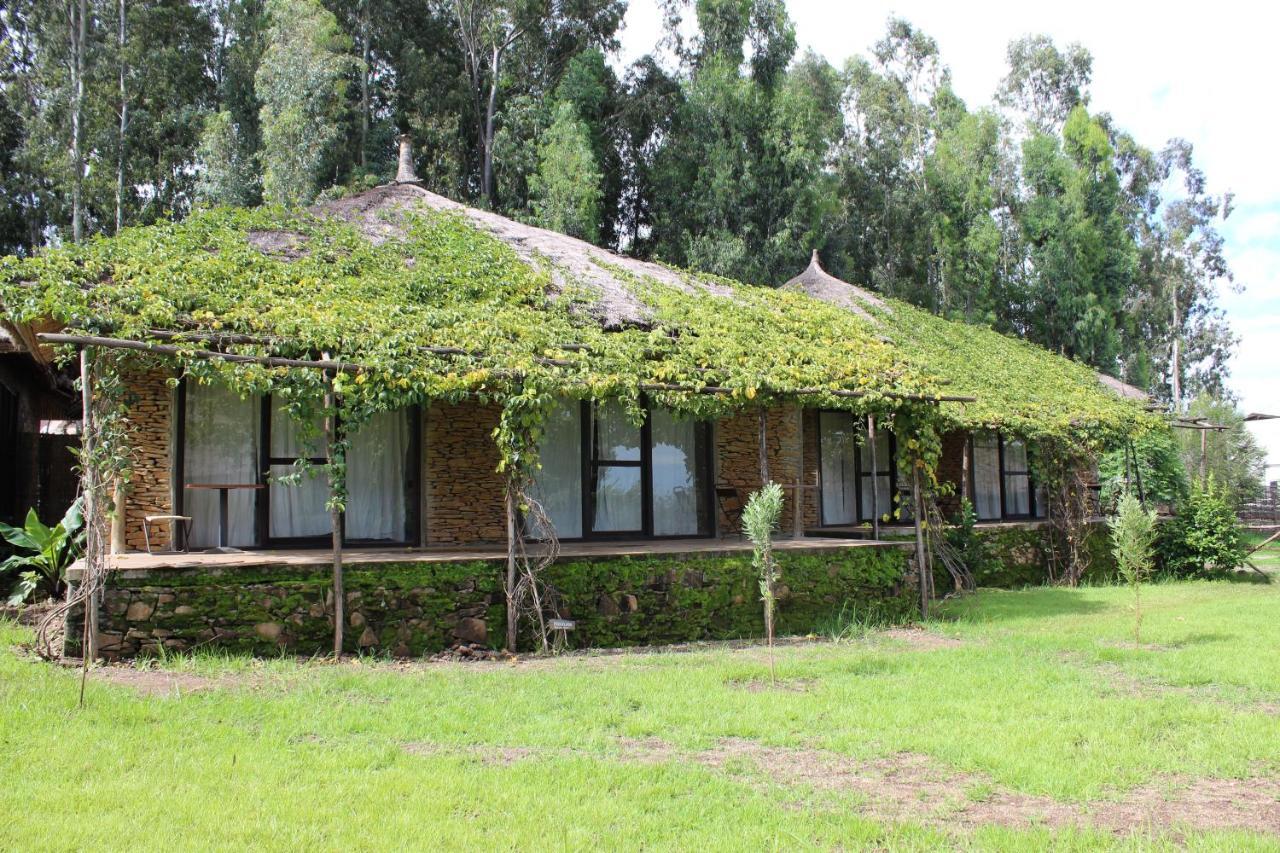 Mayleko Lodge Gonder Exterior photo
