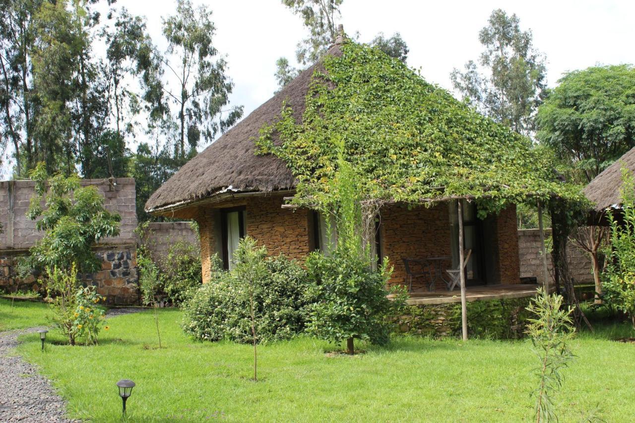 Mayleko Lodge Gonder Exterior photo